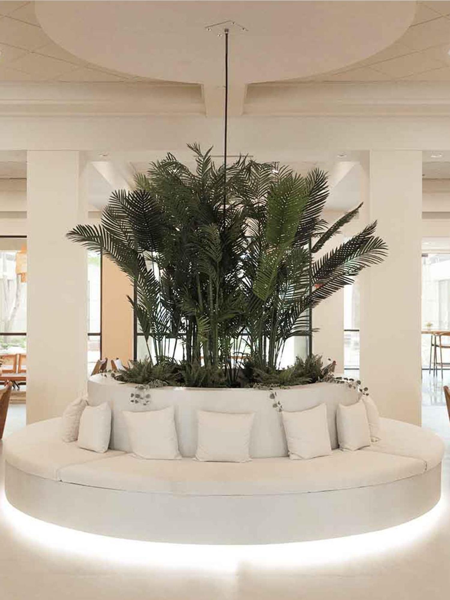 Vitality Hotel Memphis